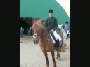 mes premiiers concours wiith ma ponette d'am0ùùr