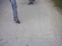 aggressione a un giornalista del poli aggressione a un giornalista del poli