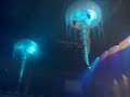 Mauro Picotto (intro) @ Sensation Romania 2012 - The Ocean of White