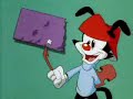 Wakko's America Song