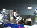 Bam Margera Steals Red Bull Car