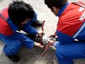 PGD Kostanjevica na Krki - Sesalni vod (22 s)