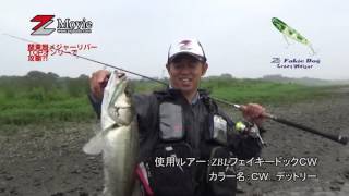 ZBLフェイキードックCWにてメジャーフィールドを攻略!(久保田 剛之)