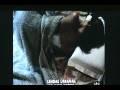 videos de Lendas Urbanas - Gato preto parte 2