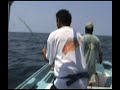 pesca de Pez vela en sayulita con mi amigo nachito gmmv