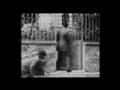 videos de Acme - AMON TOBIN