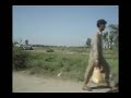 Streets of Punjab
