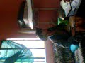 Lexcee Trip 0n al0ne with
