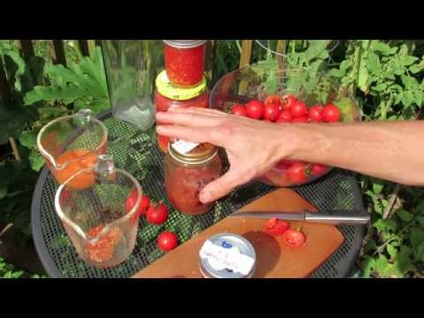 how to collect tomato seeds