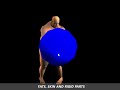 Multi Object Type Interaction