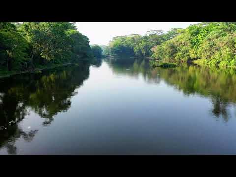 Image de prévisualisation YouTube