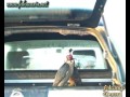 Duck Hawking with peregrine falcon