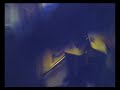 Chris Moyles Show Celebrity lap - Alan Carr\ Chris Moyles Show Celebrity lap - Alan Carr\