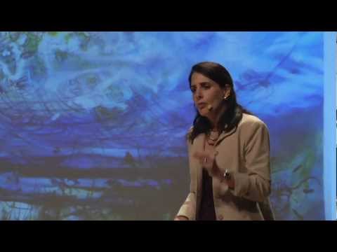 tedxmanhattanbeach - Talk title: Embodied brains, social minds: How admiration inspires purposeful learning The science of neurobiology is changing our understanding about social...