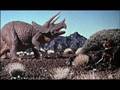 Triceratops Tribute