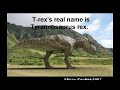 Project Dino