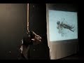 Danse avec moi