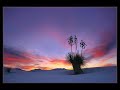 Moonlight party [Chill Mix] - Fonzerelli