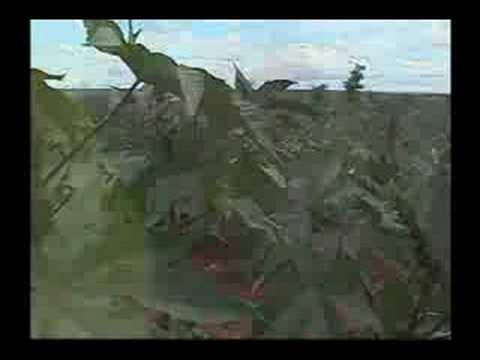Desenvolvimento Rural - Brasil