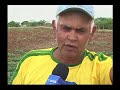 Desenvolvimento Rural - Brasil
