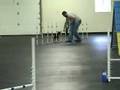 videos de Loki Agility Fun Match