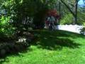 Cycling