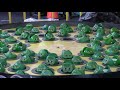 The Frogs of Astroland