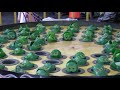 The Frogs of Astroland
