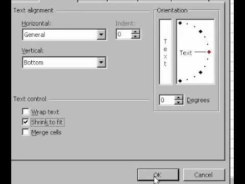 how to fit text in excel