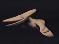My old Demo Reel