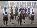 Zenyatta Win The Breeders' Cup Classic Horse Race Nov 7, 2009!!