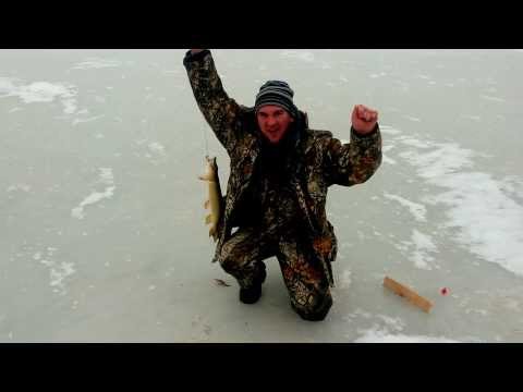 рыбалка ейск щука рыбалка ейск щука