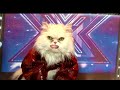 Craig Doyle Live: Kitty Cat