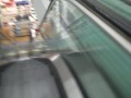 Schindler Single-File Escalators at Bed, Bath, & Beyond in Manhasset, NY