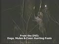 Robert mcdonald and Paul Gibson hunting with some of Paul's champion dogs. This is an excerpt from the DVD; Dogs, Mules and Coon Hunting Fools