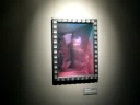 The Hide by Taron - Gnomon Rabbitholes