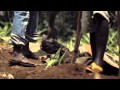 Vues d'Afrique 2012 View Video