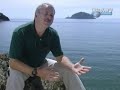 Mega Tsunami - Wave of Destruction (3 of 5)