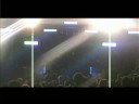 Orangotang ao vivo em Ermelo Orangotang ao vivo em Ermelo