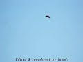 credit to this woman who made this footage possible on line & her original link...
http://www.dailymotion.com/elo6878

also here is a link to same ufo back in the days....
http://www.spacejay.com/evidence/ufo-fotos/ufo-196.jpg

or this one...
http://tzone.kulichki.com/gallery/gall/foto218.jpg

http://tzone.kulichki.com/gallery/gall/ufo-38.jpg