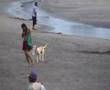 ARAMBOL beach