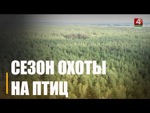 В Беларуси открыли сезон охоты на пернатую дичь видео