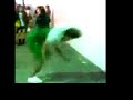 Lafa Taylor doing a backflip in Japan Lafa Taylor doing a backflip in Japan