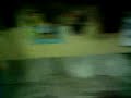 Lucha en la lonja