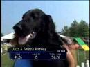 Purina Incredible Dog Agility Challenge