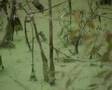 Spot Pura Energ�a