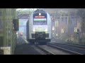 FLIRT Nahverkehrszug nach Bonn bei Bornheim