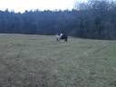Moi et ma pOnette qui me suit dans un jachère