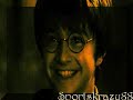 harry potter  bitter