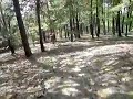 MTB XC Guben-Gubin MTB XC Guben-Gubin